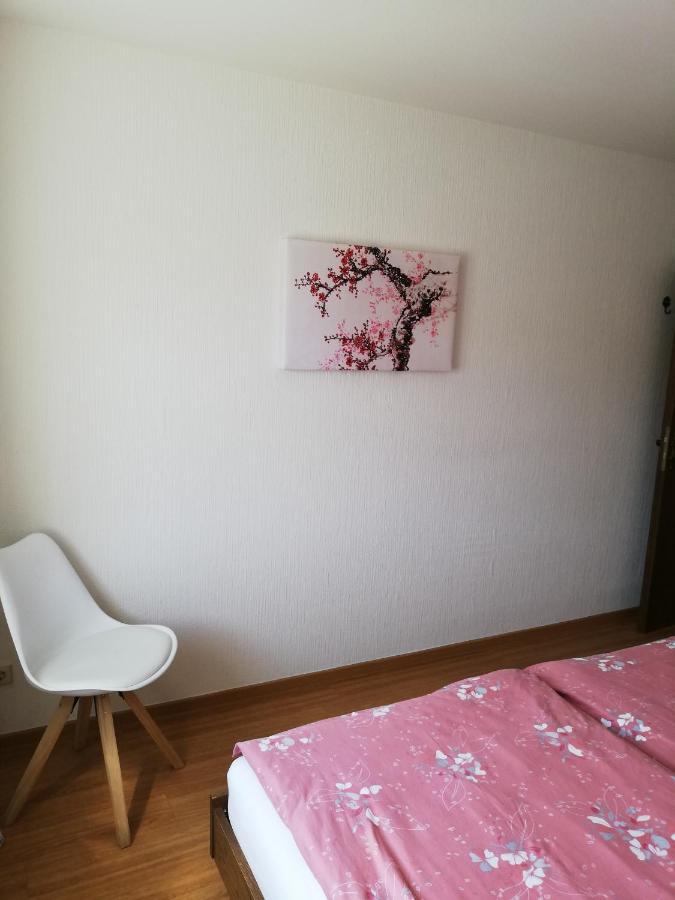 Ferienwohnungen Zum Niederberg Lieser Extérieur photo
