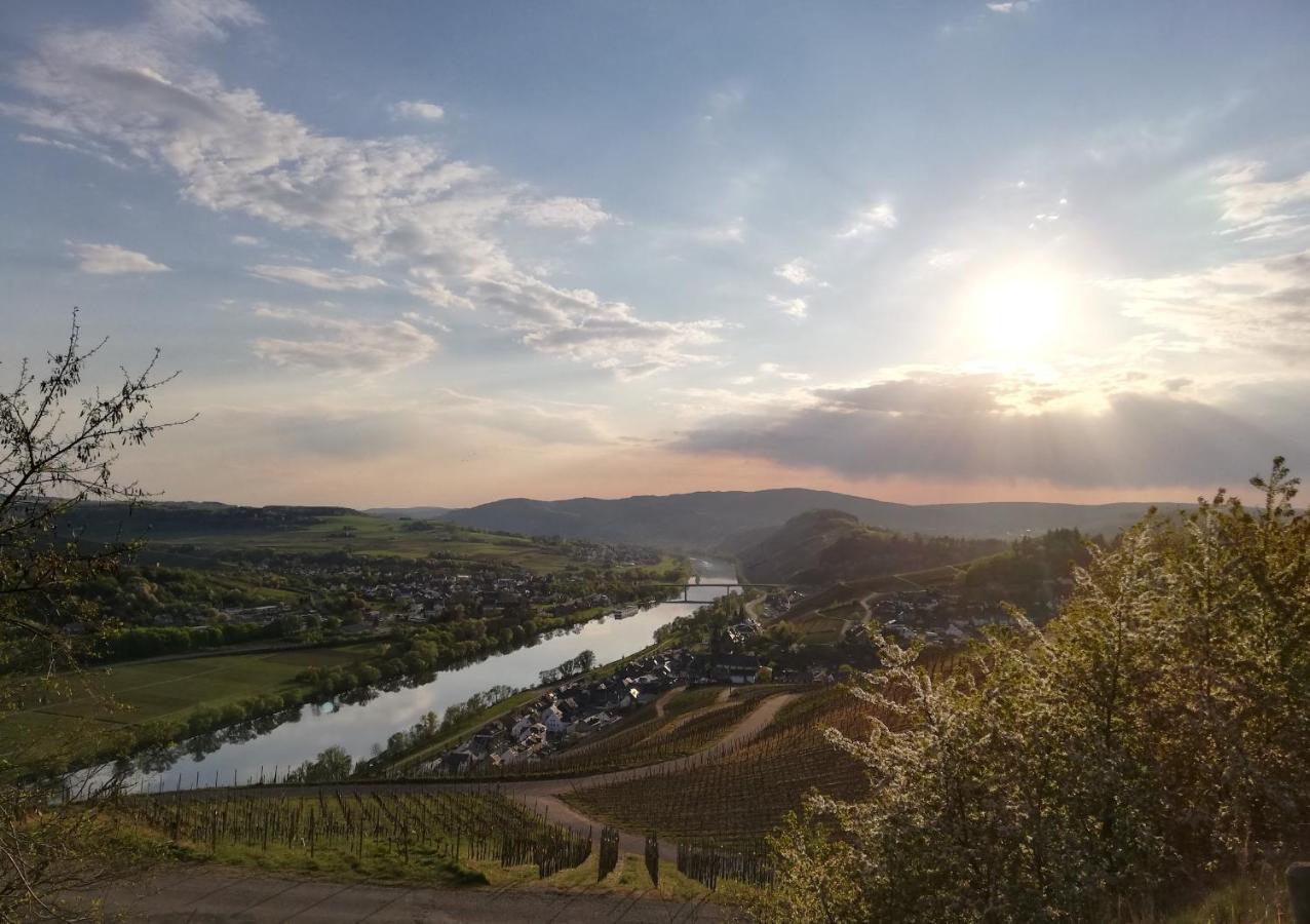 Ferienwohnungen Zum Niederberg Lieser Extérieur photo