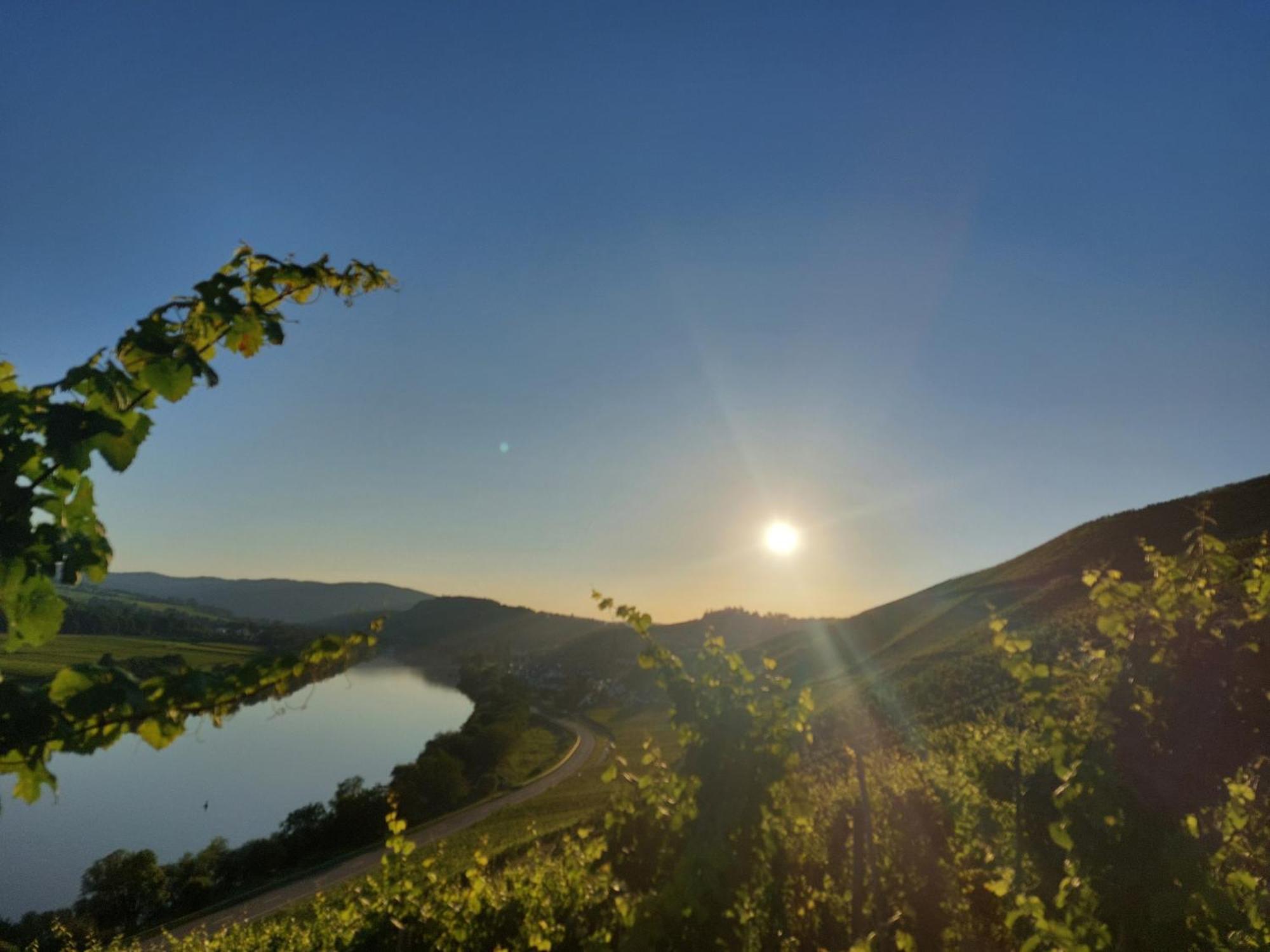 Ferienwohnungen Zum Niederberg Lieser Extérieur photo