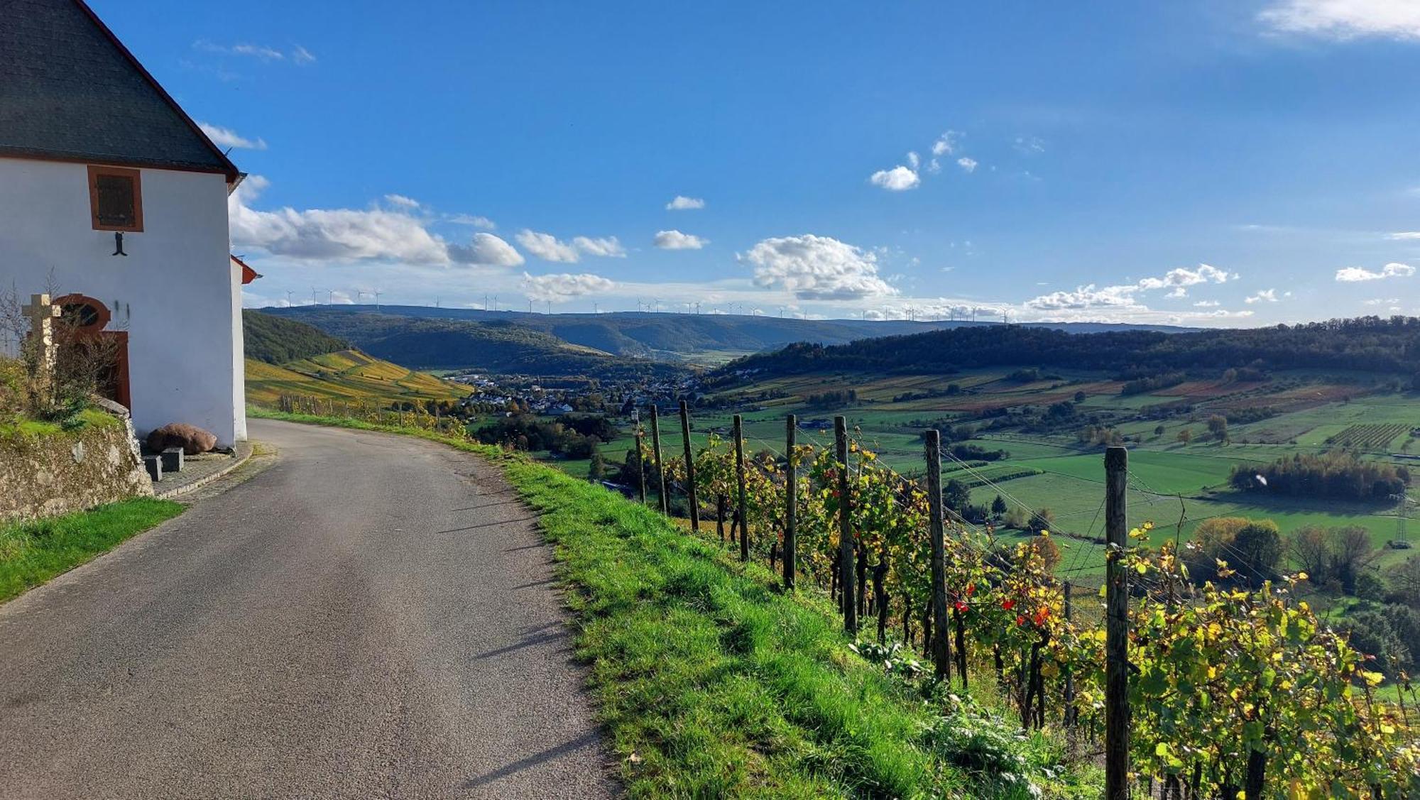 Ferienwohnungen Zum Niederberg Lieser Extérieur photo