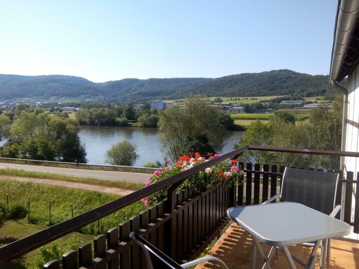 Ferienwohnungen Zum Niederberg Lieser Extérieur photo